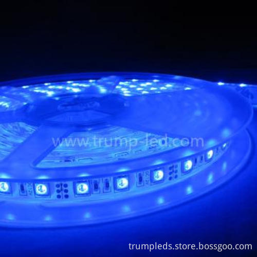 Top Quality LED Strip Light SMD 5050 For Decorate Indoor And Hotel